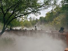 -江苏三台山国家森林公园