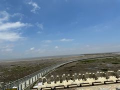 -南汇嘴观海公园
