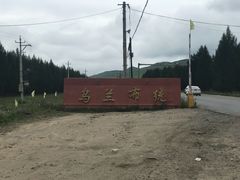 -乌兰布统草原