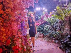 -正佳雨林生态植物园