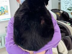 -北京观赏动物医院·24小时大型综合·猫专科·异宠专科
