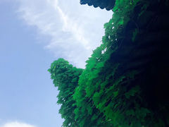 -韩湘水博园