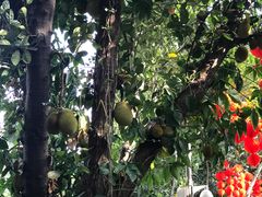 -人民公园(罗湖区)