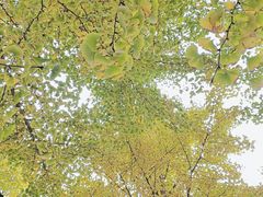 -汉景帝阳陵博物院