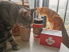 -Tims天好咖啡(华侨城步行街店)