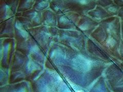 -济南方特东方神画