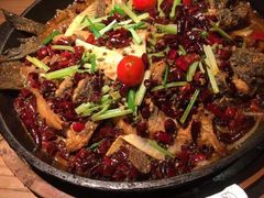 -老板恋上鱼(印象城店)