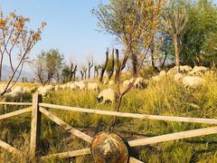 -敕勒川草原文化旅游区