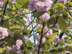 -苏州河梦清园环保主题公园