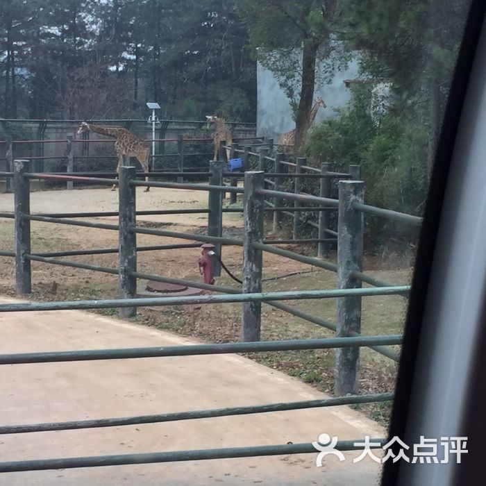 長沙生態動物園