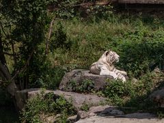 -宁波野生动物园