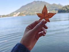-广州市流溪河国家森林公园