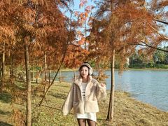 -上海海湾国家森林公园