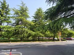 -河南省黄河迎宾馆