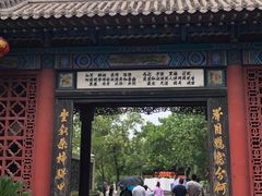 -大槐树寻根祭祖园