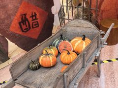 -上海世纪汇广场