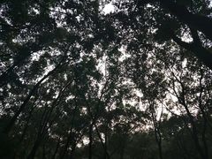 -重庆工商大学(南岸校区)