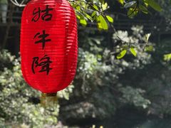-石台牯牛降景区