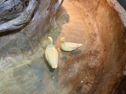 -Zoolung Zoolung动物主题公园(海信广场店)