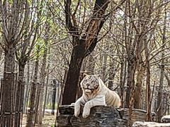 -秦皇岛野生动物园