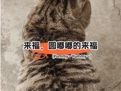 -正阳书局(西四南大街店)
