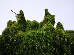-上海月湖雕塑公园