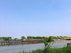 -天津东丽湖风景区