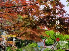 -徐州汉画像石艺术馆