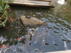 -阳春市花园酒店