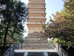 -洛阳白马寺