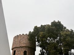 -J Create城市露营咖啡·简餐·宠物(上海动物园店)