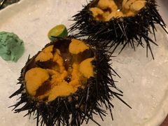 活海胆-九州酒场ひこぞう(1号店)