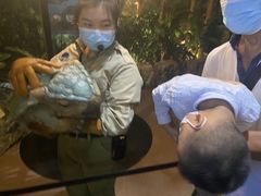 -侏罗纪世界电影特展(广州站)