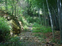 -龙坞茶村