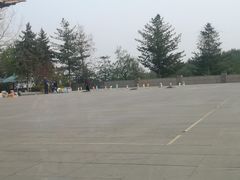 -黄椅山火山森林公园