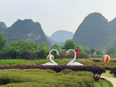 -靖西鹅泉风景区
