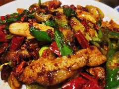 -柴窝堡22号辣子鸡·传承新疆菜