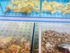 水产区-东厨虾煌(电子街店)