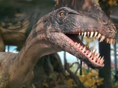 -湖南省地质博物馆