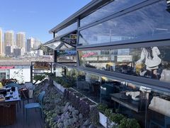 -野菌皇海景野生菌火锅(滨海大道店)