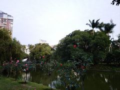 -人民公园(罗湖区)