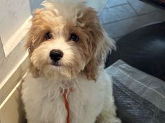 -22ºN BISTRO西餐&酒馆