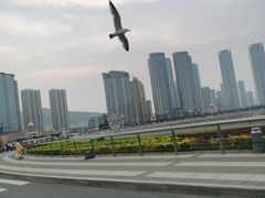 -星海广场