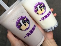 -一只酸奶牛(东方广场店)