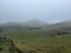 -武陵山森林公园