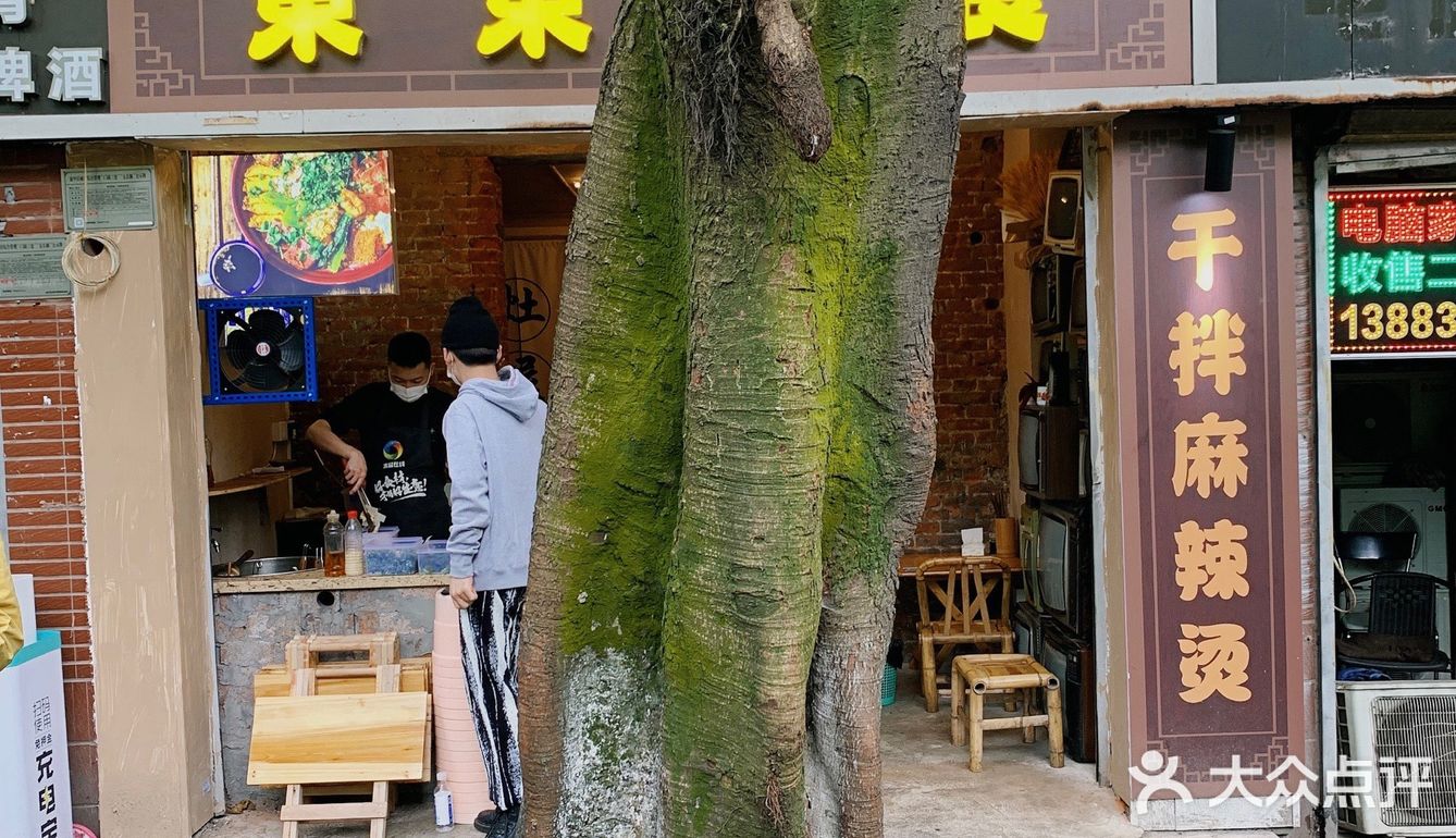 藏在大树背后的麻辣烫