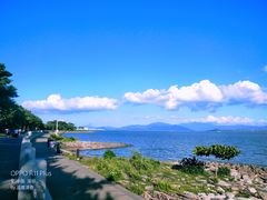 -深圳湾公园(南山区)