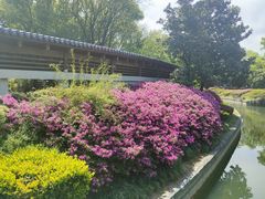 -蠡湖大桥公园