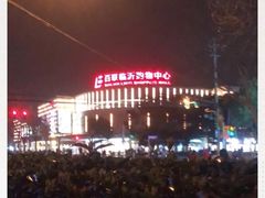 -百联临沂购物中心(临沂路店)