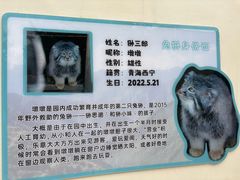 -青藏高原野生动物园